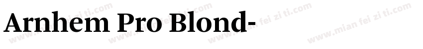 Arnhem Pro Blond字体转换